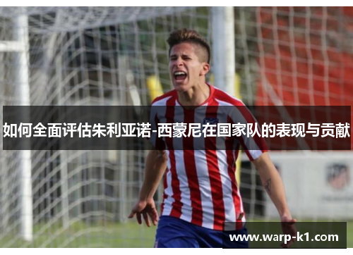 如何全面评估朱利亚诺-西蒙尼在国家队的表现与贡献