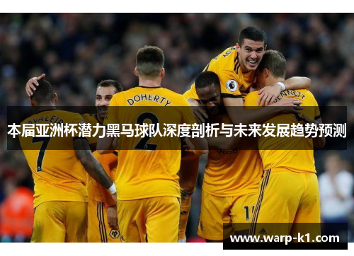 本届亚洲杯潜力黑马球队深度剖析与未来发展趋势预测